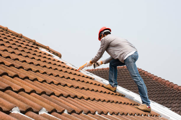 Best Roof Insulation Installation  in Forney, TX