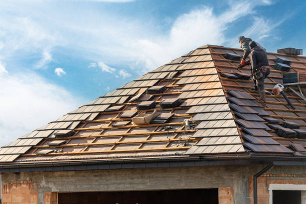 Best Asphalt Shingle Roofing  in Forney, TX