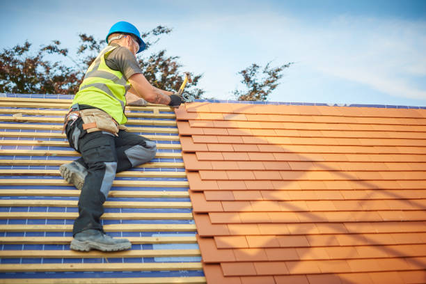 Best Roof Coating and Sealing  in Forney, TX